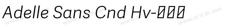 Adelle Sans Cnd Hv字体转换